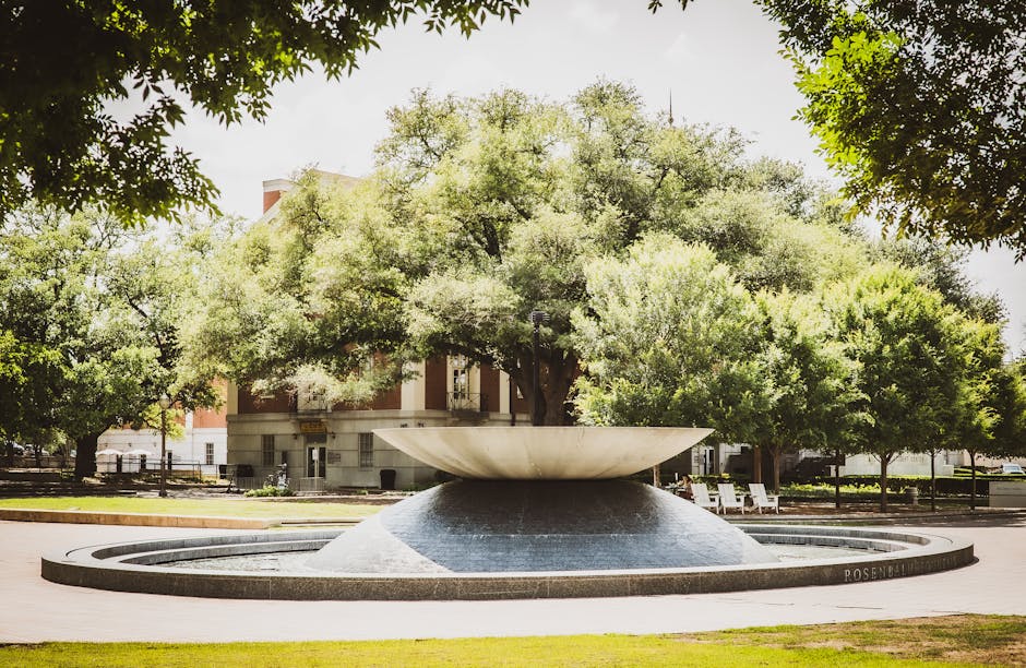 Waco, TX — local perspective.
